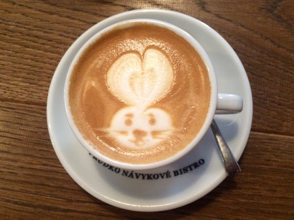 Premium Coffee Beans